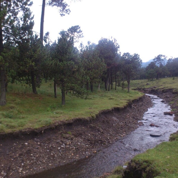 Parque Nacional Cumbres del Ajusco 2 tips
