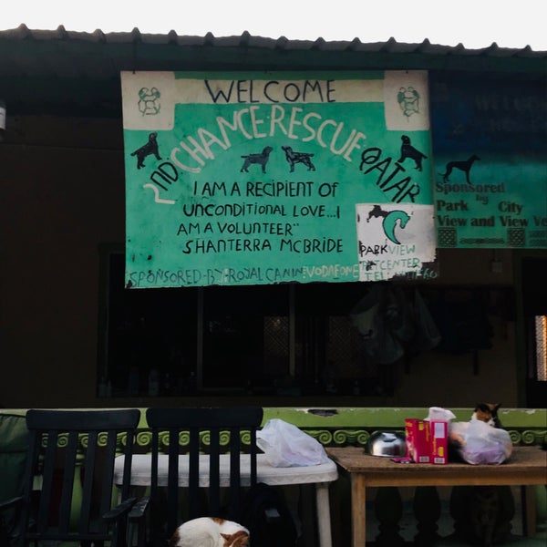 pampered pets cattery