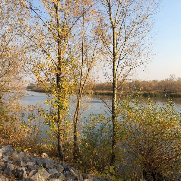 Десна 9. Десна 9. Десна 9. Тепло-люкс электрогрелка десна-2-с. Пляж в хотяновке на десне.