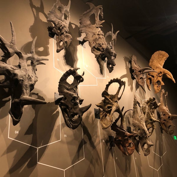 Photo prise au Natural History Museum of Utah par Jack W. le7/17/2021