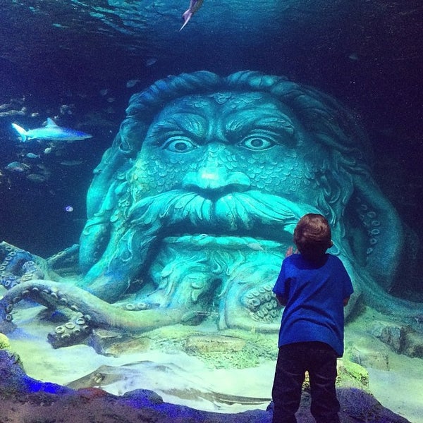 Photo taken at SEA LIFE Charlotte-Concord Aquarium by Mandi M. on 3/19/2014