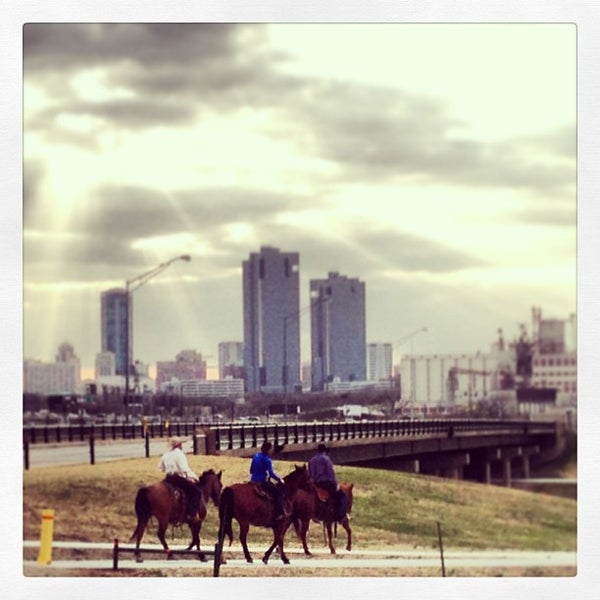martin house brewery austin