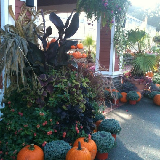 Photos at Briggs Nursery 6 tips from 327 visitors