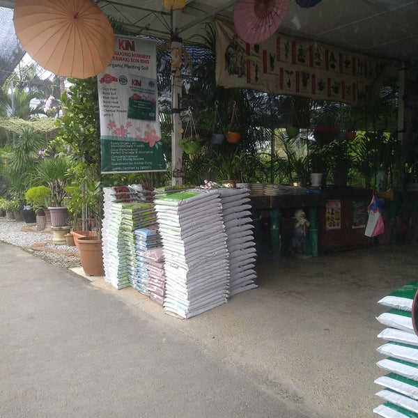 Photos At Kai Nguong Nursery S Wak Sdn Bhd 95 Visitors