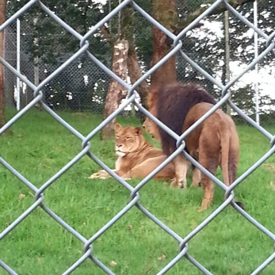 Photo taken at Dartmoor Zoological Park by Ben R. on 10/12/2012