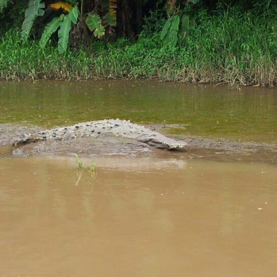 Photo taken at Jungle Crocodile Safari by William C. on 10/10/2012