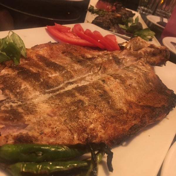 Кафе шамс курчатов