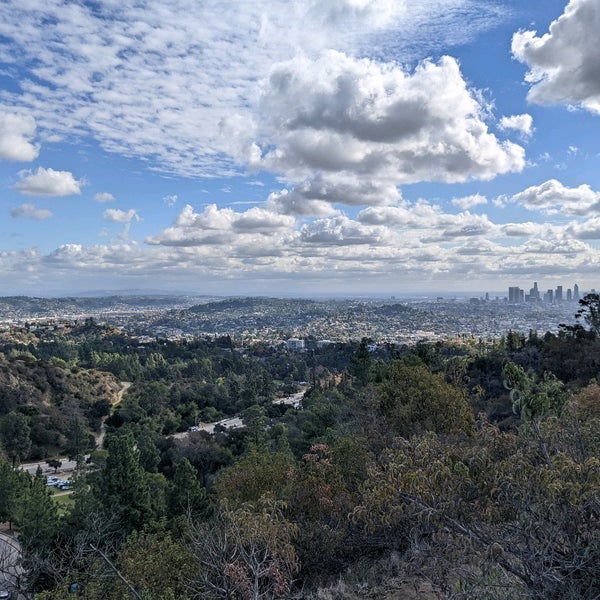 berlin-forest-griffith-park
