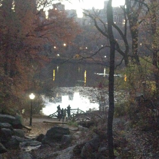 Снимок сделан в Central Park Sightseeing пользователем Stephen F. 11/19/2012