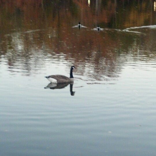 Foto diambil di Central Park Sightseeing oleh Stephen F. pada 11/19/2012