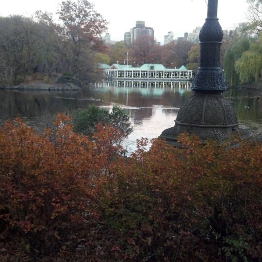 11/19/2012 tarihinde Stephen F.ziyaretçi tarafından Central Park Sightseeing'de çekilen fotoğraf