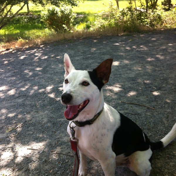 Peacock Gap Park Peacock Gap San Rafael, CA