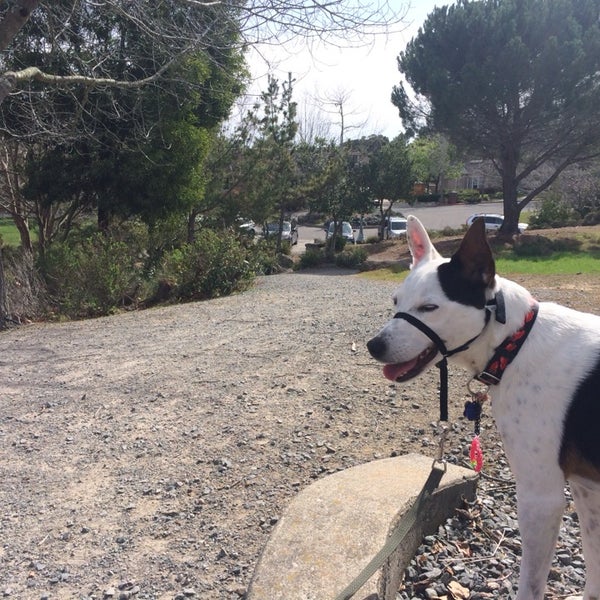 Peacock Gap Park Peacock Gap San Rafael, CA
