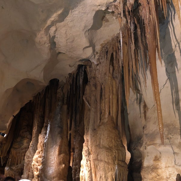 Cave rose. Cave rose. Вертикальная пещера. Пещера с золотом. Пещера красной розы.