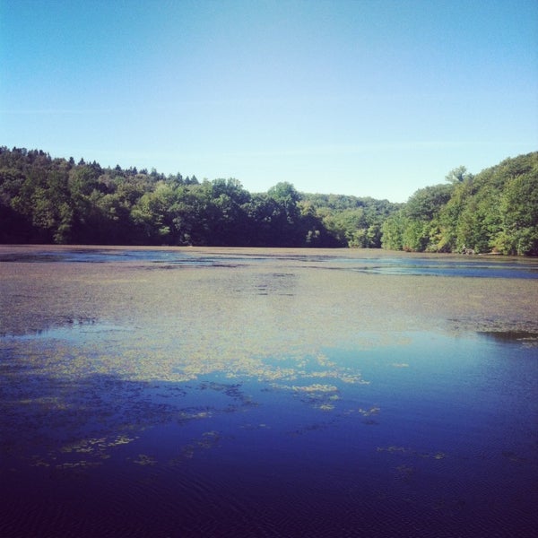 Wonder Lake Hiking Trail