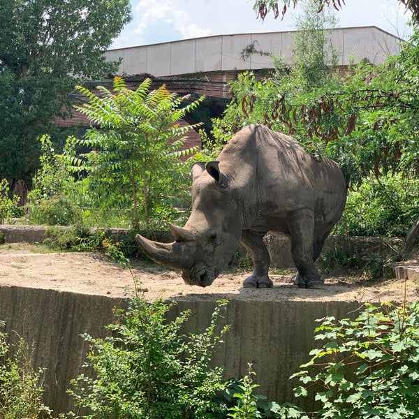 7/2/2022にCagri A.がЗоопарк София (Sofia Zoo)で撮った写真
