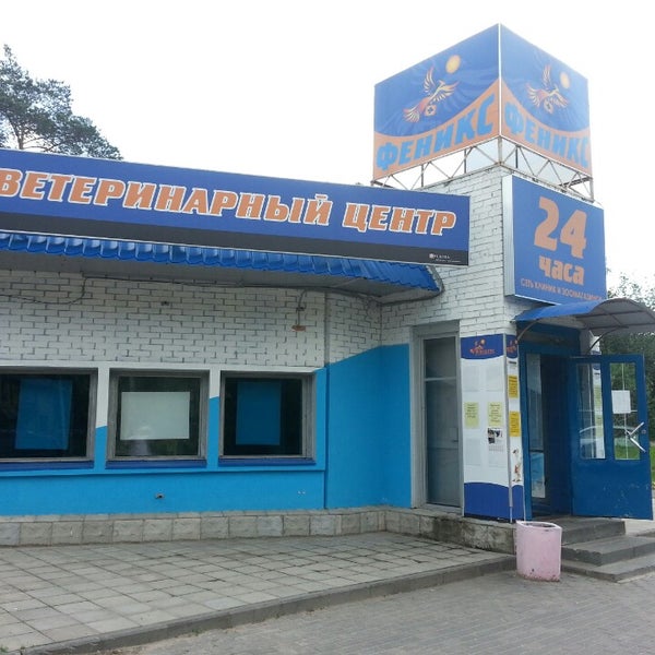 клиника феникс логотип. ветклиника феникс. феникс ветеринарная клиника. феникс дубна ветклиника. боголюбова 16 а дубна проспект 16а.