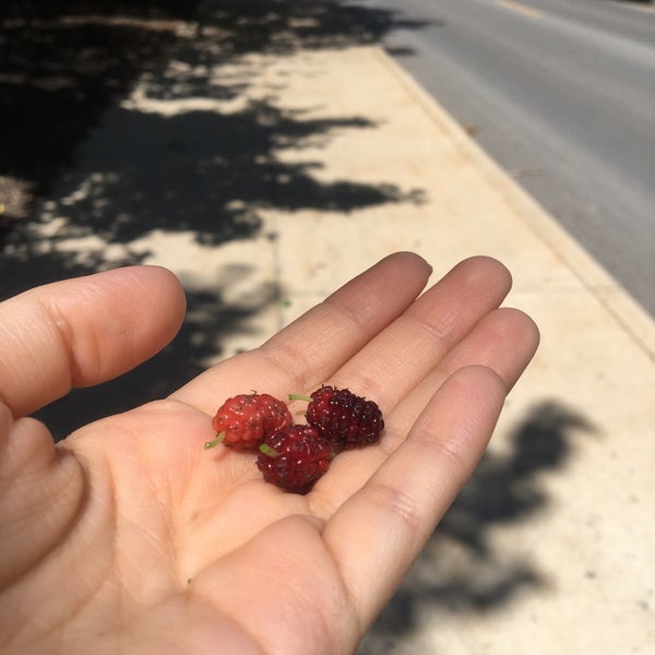 Hitt Street Garage - University of Missouri - 7 tips from 539 visitors