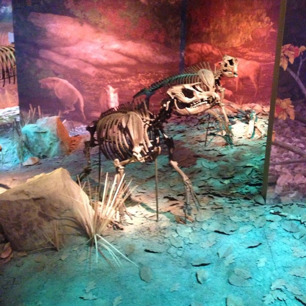 Das Foto wurde bei Gray Fossil Museum von Brent P. am 7/13/2013 aufgenommen