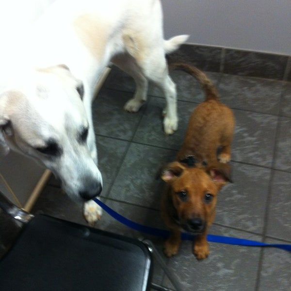 Dallas Highway Animal Hospital - Lost Mountain - 1 tip Dallas Highway Animal Hospital - Lost Mountain - 1 tip