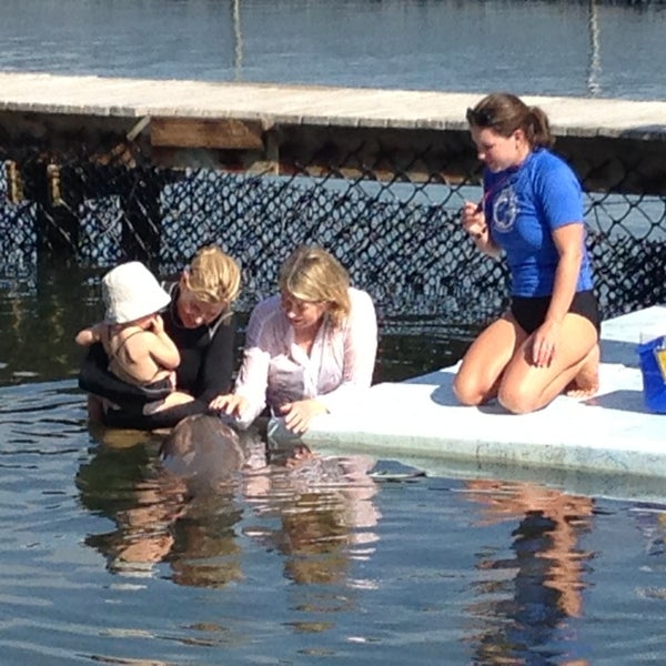 Photo taken at Dolphin Research Center by Erin on 12/26/2012