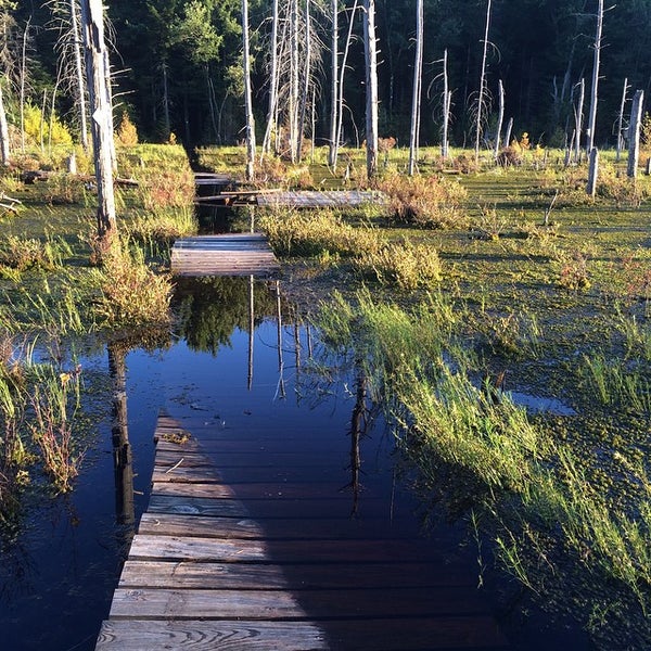 Dyken Pond Environmental Center Hiking Trail