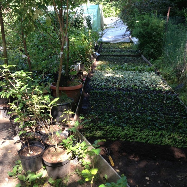 �������� ��������� ����� ������ ��������