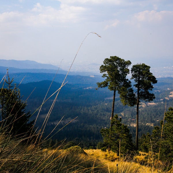 Photos at Parque Nacional Cumbres del Ajusco 2 tips