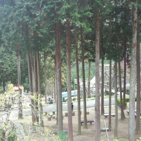 Photos At 西条市民の森 冒険広場 西条市 愛媛県 Photos At 西条市民の森 冒険広場 西条市 愛媛県