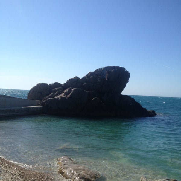 Алупка пляж лягушка