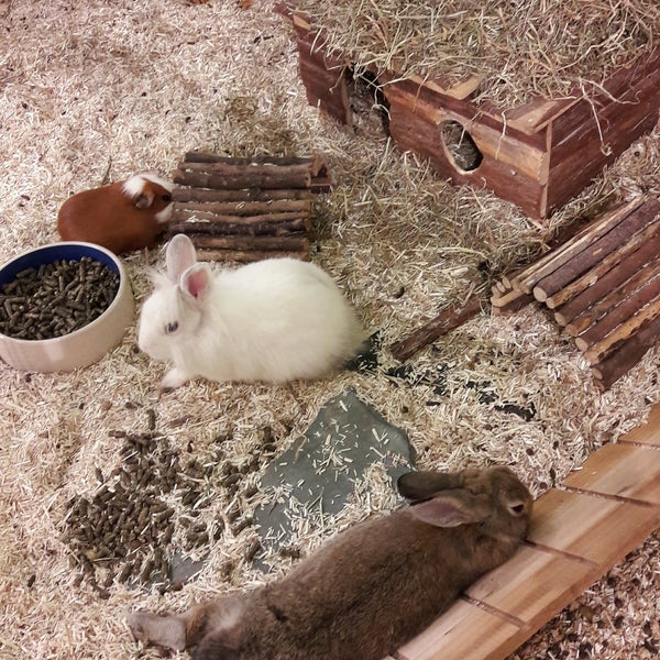 Photos At Fressnapf Xxl Pet Store In Leipzig