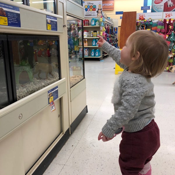 petsmart everett banfield