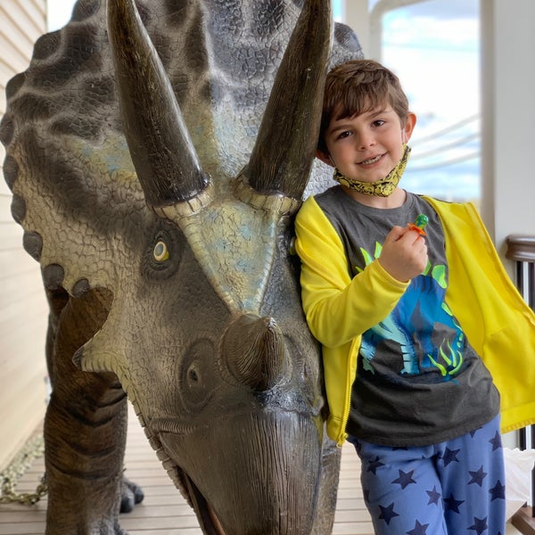 Prehistoric Fossils Branson, MO