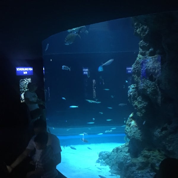 Sea View Aquarium (Now Closed) Pet Supplies Store in Sengkang