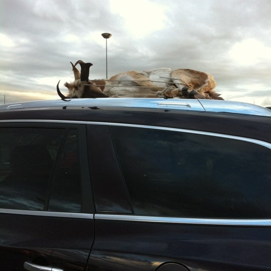Photo taken at Gallatin Valley Mall by Leo M. on 10/20/2012