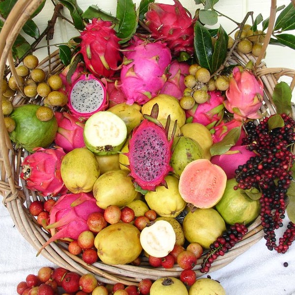 River's End Nursery & Farm Farm