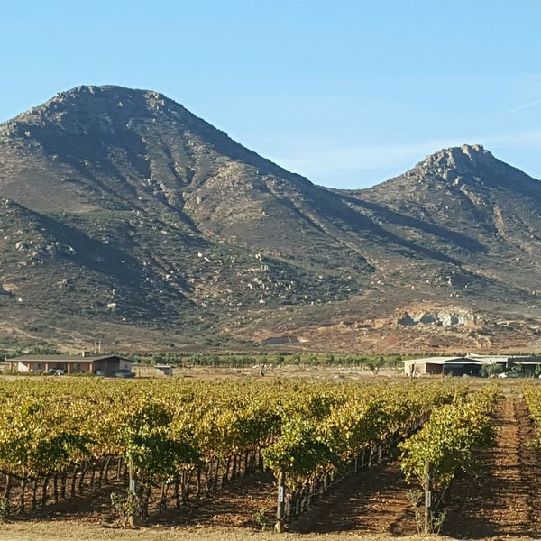 Photo taken at Vinicola Émeve - De los mejores vinos del Valle de Guadalupe by Lupita G. on 11/18/2017
