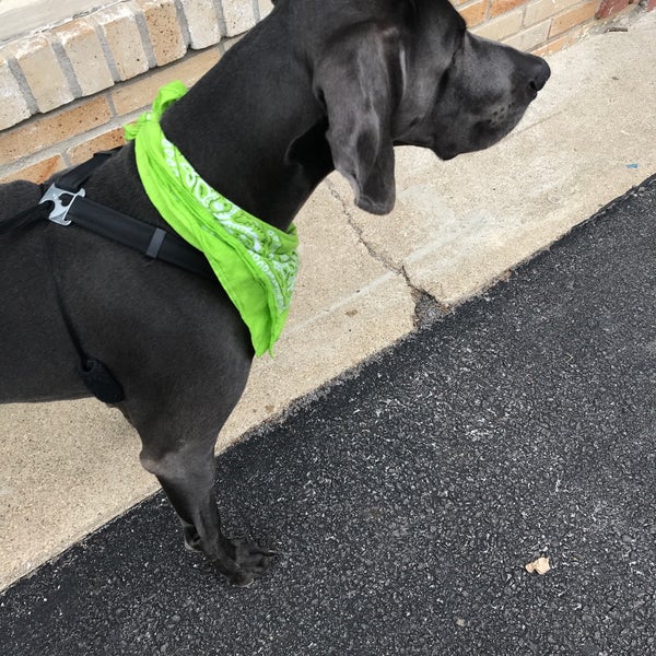 Elm And Iron Home Goods 3475 N High St