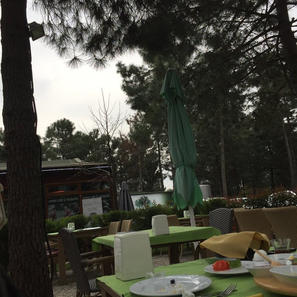 3/19/2017 tarihinde Serap D.ziyaretçi tarafından Orman Cafe Restaurant'de çekilen fotoğraf