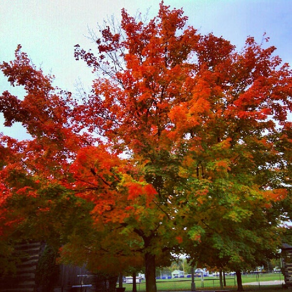 Bad Axe Public Library Bad Axe, MI