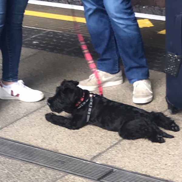 Foto tirada no(a) Paddington London Underground Station (Hammersmith &amp; City and Circle lines) por Security A. em 6/23/2019