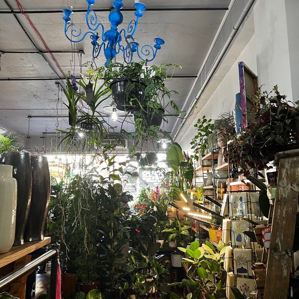 Plant Societree Flower Shop in Newington