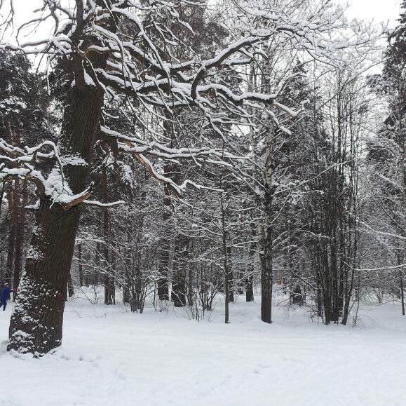 Фотографии на Покровское-Стрешнево (природно-исторический парк) - Парк ...