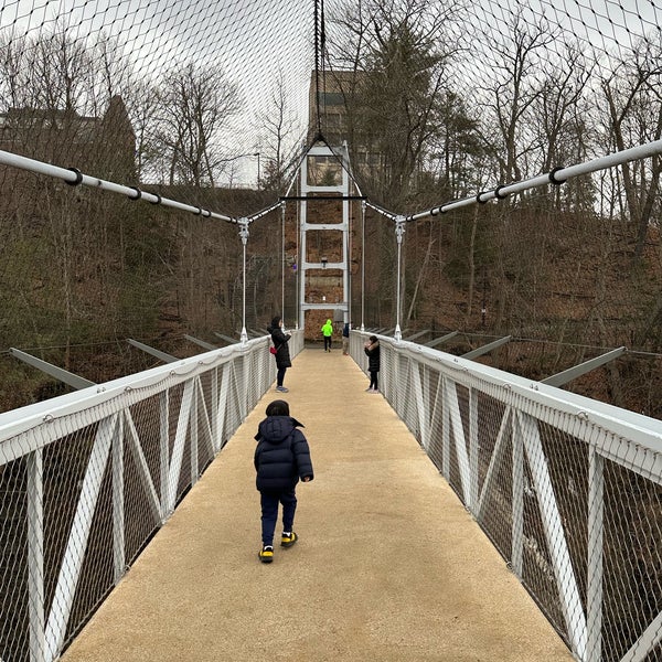 Suspension Bridge Bridge in Ithaca