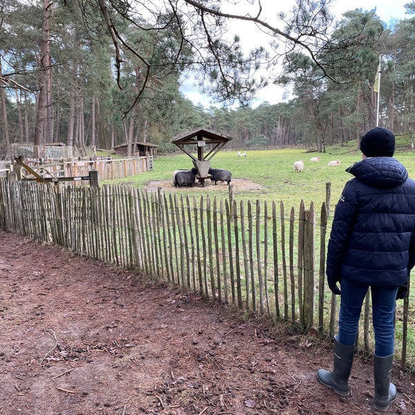 Schaapskooi Heidestein Zeist, Utrecht