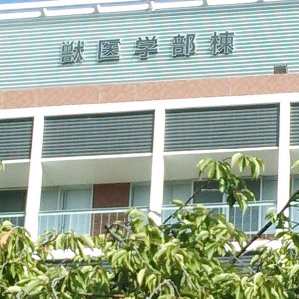 麻布大学 獣医学部棟 相模原 Da Universite Akademi Binasi Da Fotograflar