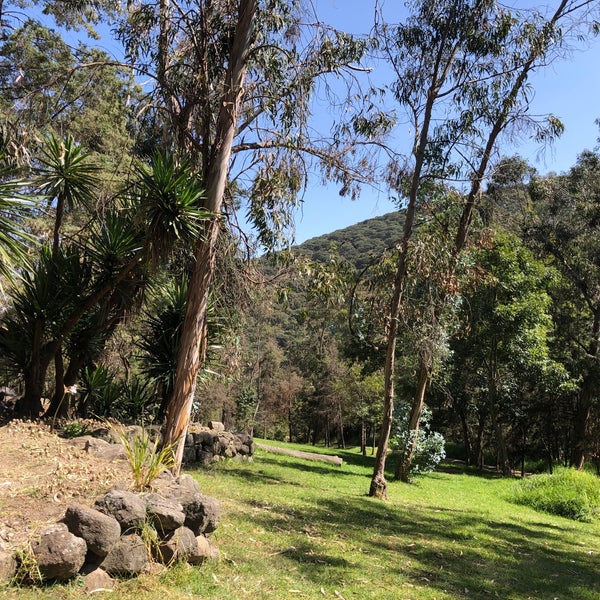 El Parque De Los Ciervos Parque en Zona Esmeralda