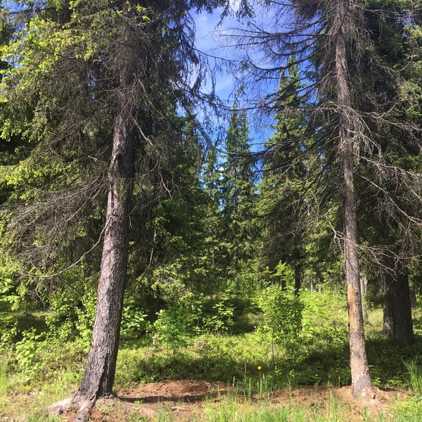 югыд яг. югыд ва. югыд яг. усть-куломский район деревни. джиджива река.