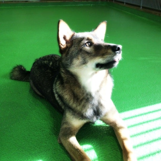 兵庫県動物愛護センター 西昆陽4 1 1