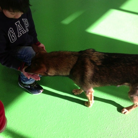 兵庫県動物愛護センター 西昆陽4 1 1